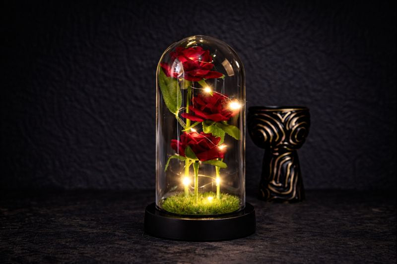 Rose Éternelle Nocturne